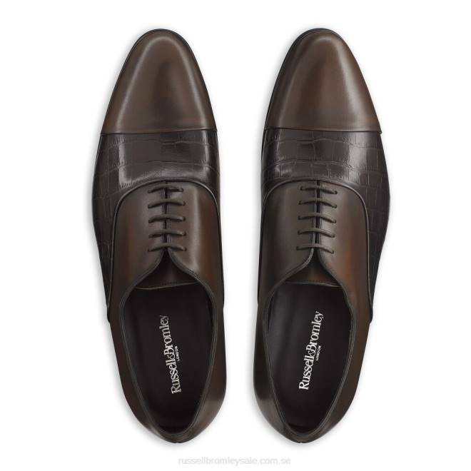 män brun Russell And Bromley stratus tåhätta oxford T4XZ602