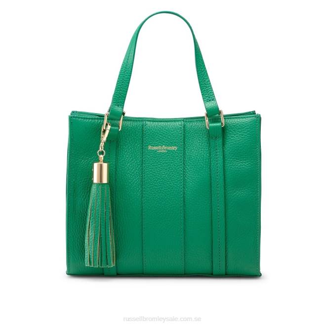 grön Russell And Bromley clarity mini gripväska T4XZ698